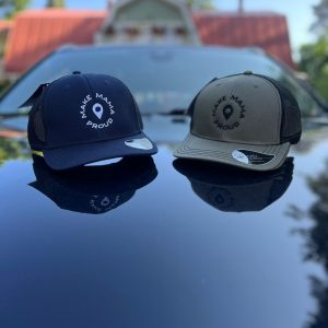 MMP verkkotaustalippis