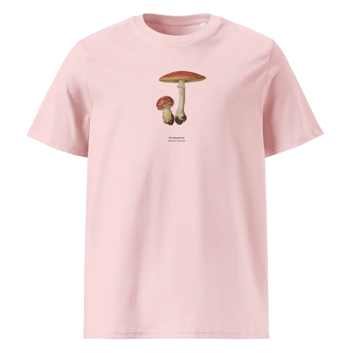 Punakärpässieni, Amanita muscaria - Image 9