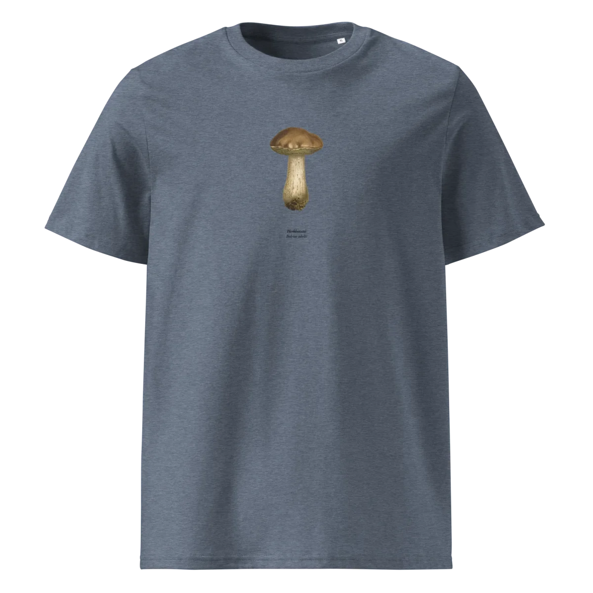 Herkkutatti,Boletus edulis - Image 7