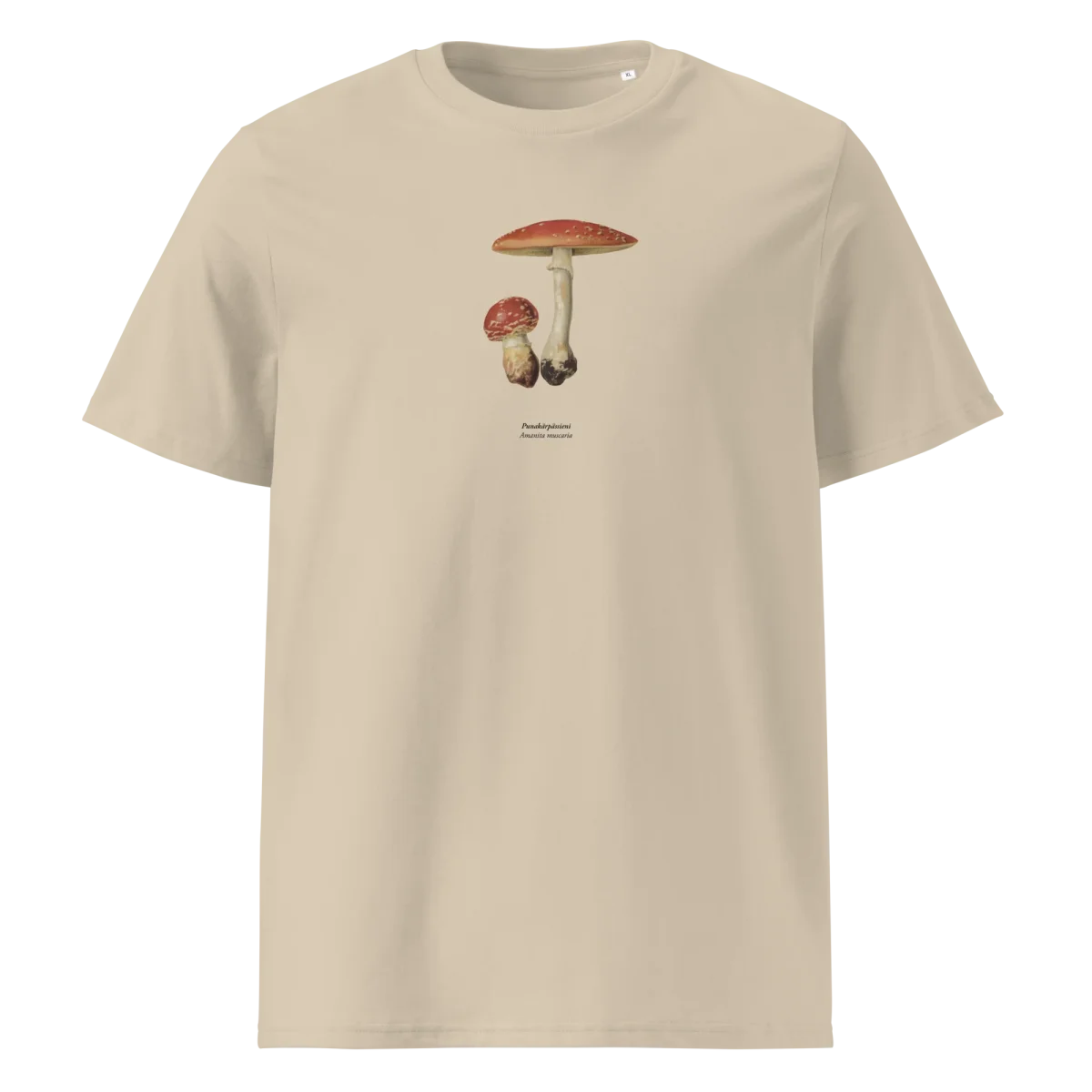 Punakärpässieni, Amanita muscaria - Image 4