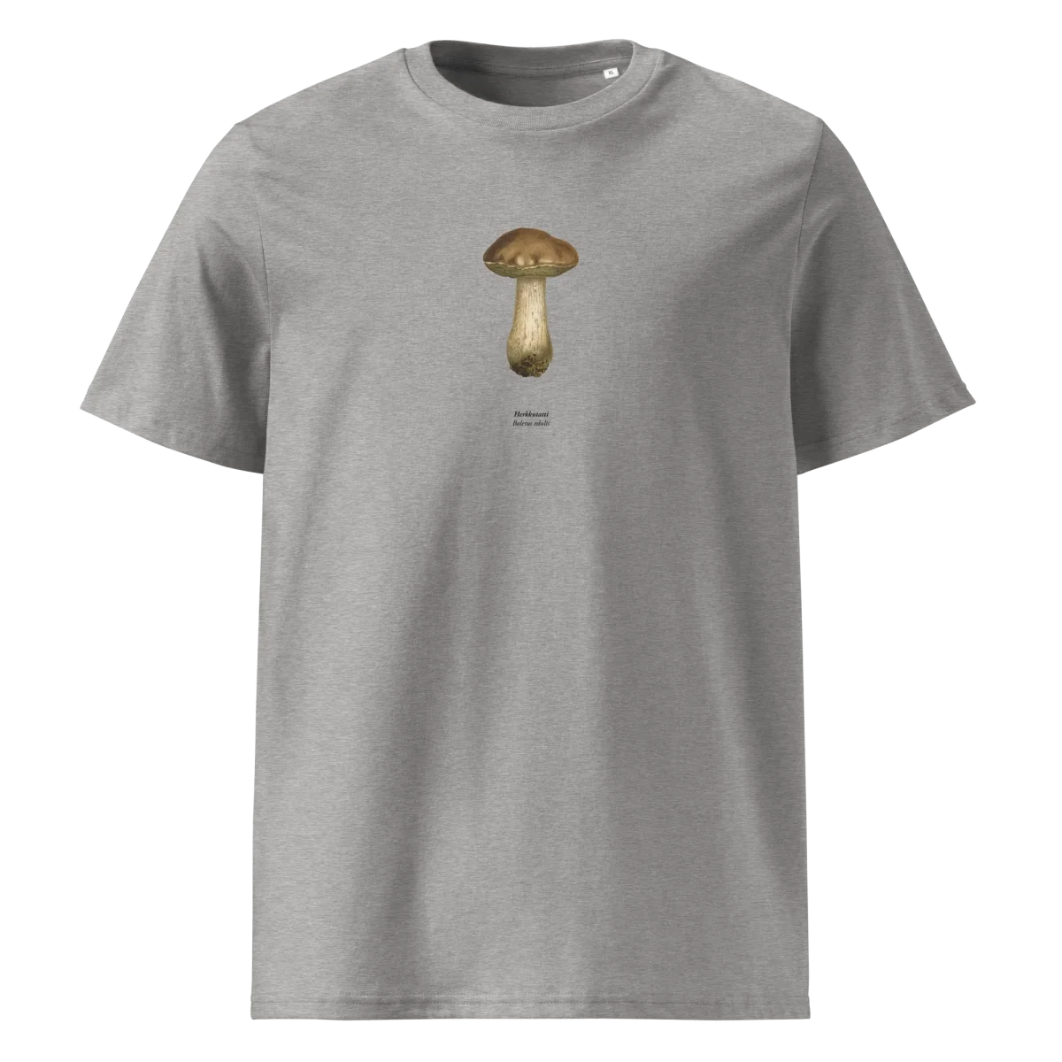 Herkkutatti,Boletus edulis - Image 5