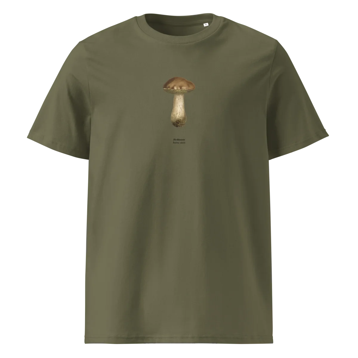 Herkkutatti,Boletus edulis - Image 6