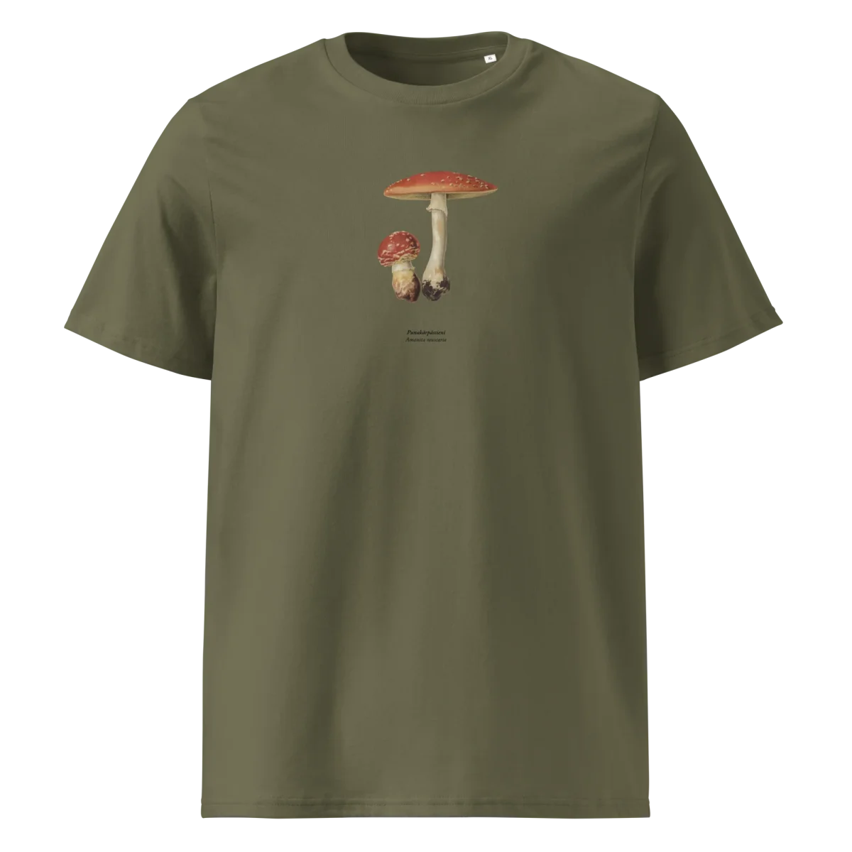 Punakärpässieni, Amanita muscaria - Image 6