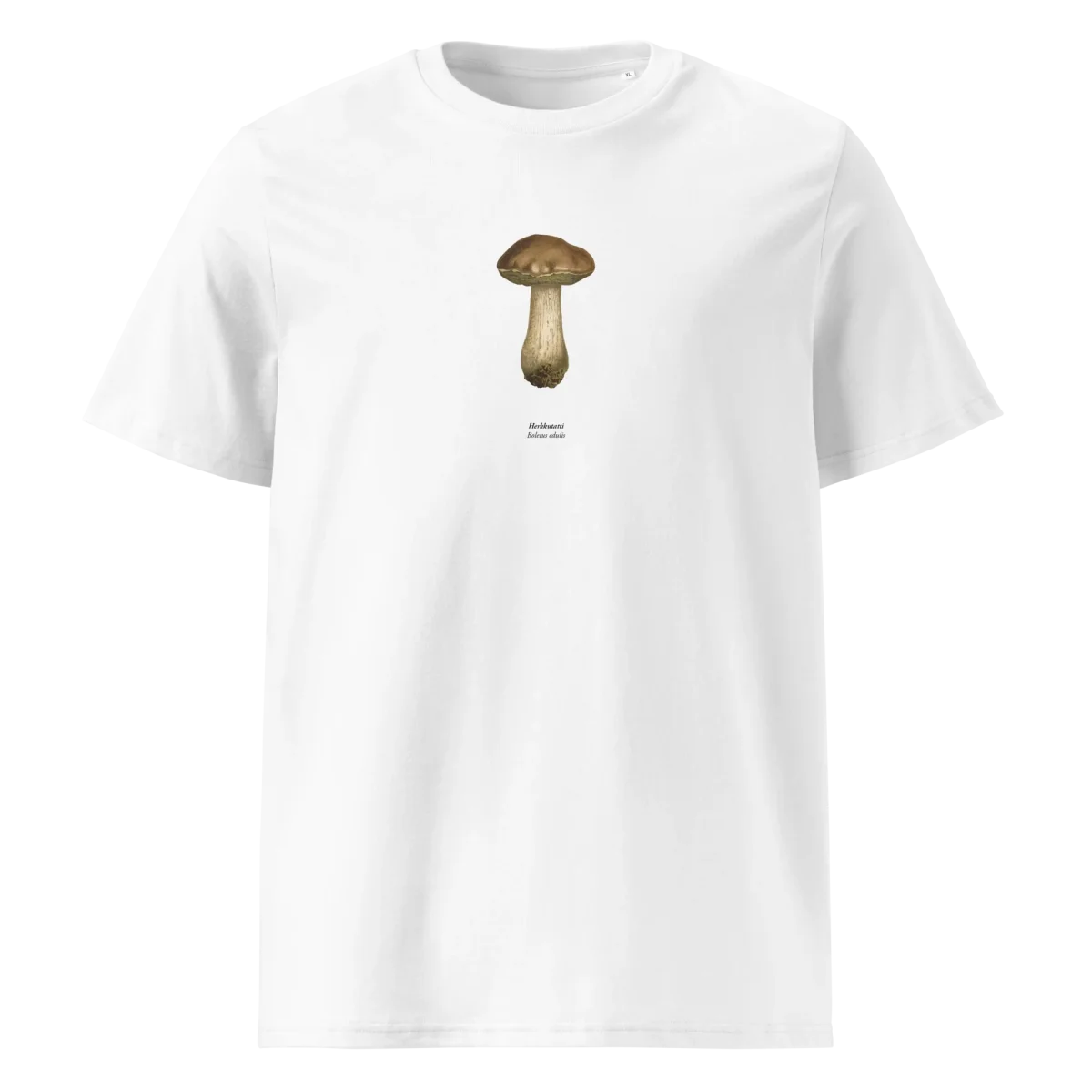 Herkkutatti,Boletus edulis